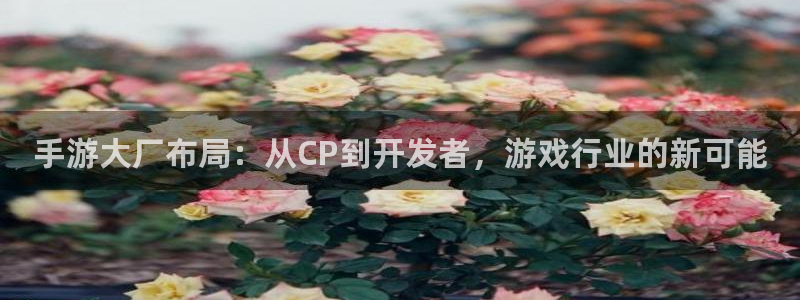 三牛娱乐登录：手游大厂布局：从CP到开发者，游戏行业的新可能