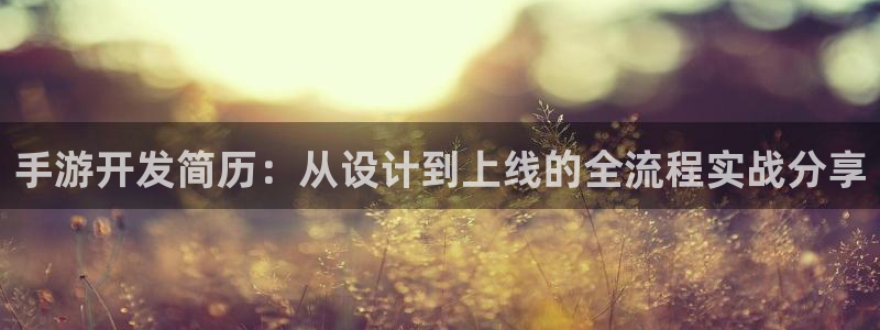 三牛娱乐管网：手游开发简历：从设计到上线的全流程实战分享