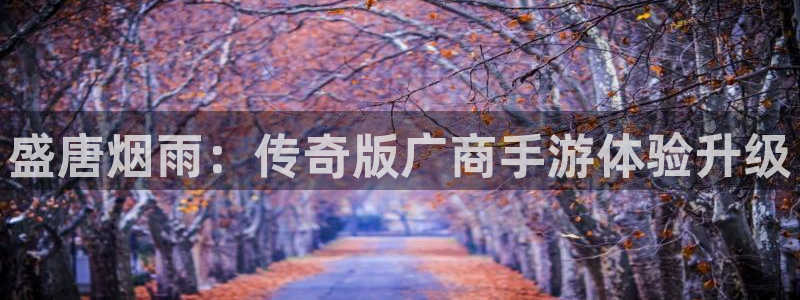 三牛娱乐如何注册：盛唐烟雨：传奇版广商手游体验升级