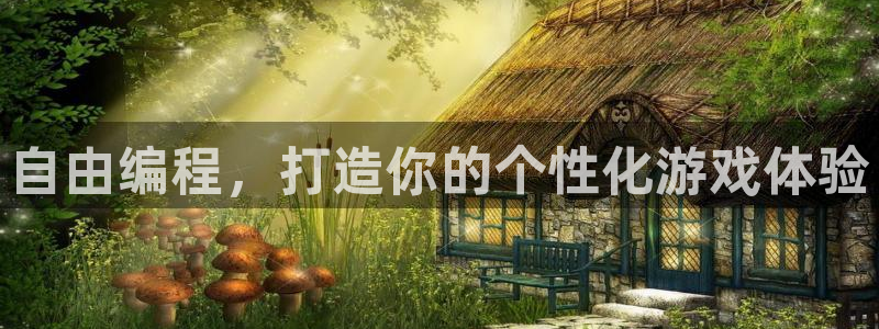 三牛娱乐负责人：自由编程，打造你的个性化游戏体验