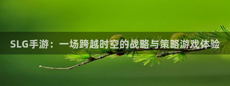 三牛娱乐哪里去了：SLG手游：一场跨越时空的战略与策略游戏体