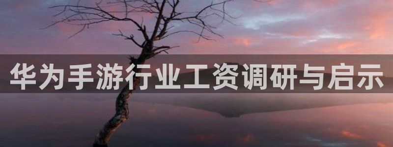 江苏三牛：华为手游行业工资调研与启示