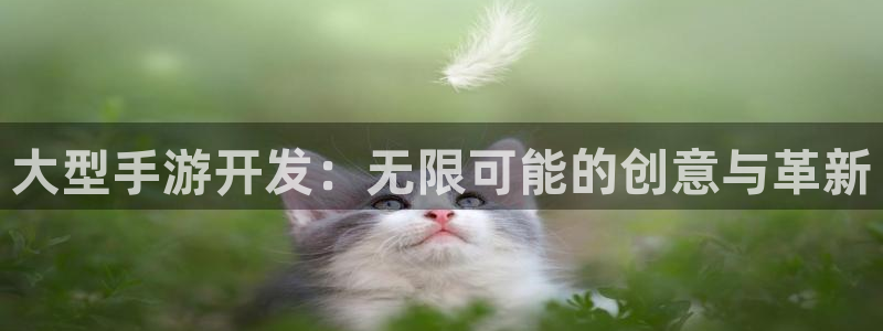 三牛娱乐挂机：大型手游开发：无限可能的创意与革新
