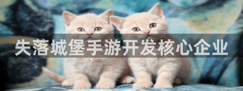 三牛娱乐如何注册：失落城堡手游开发核心企业