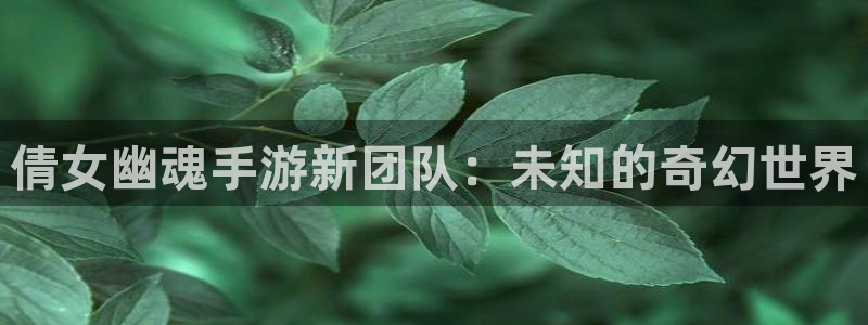 三牛公司：倩女幽魂手游新团队：未知的奇幻世界